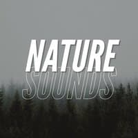 Nature Sounds