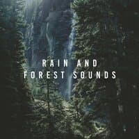 Rain And Forest Sounds