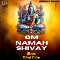 Om Namah Shivay