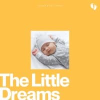 The Little Dreams