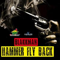 Hammer Fly Back