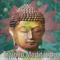 Train In Meditation