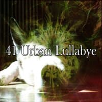 41 Urban Lullabye