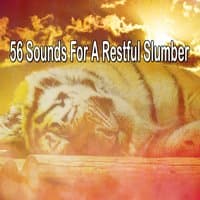 56 Sounds For A Restful Slumber