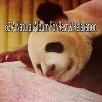 63 A Natural Album for Rest & Relaxation