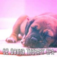 62 Sound Therapy Spa