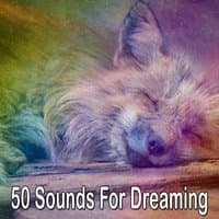 50 Sounds For Dreaming