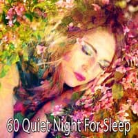 60 Quiet Night for Sleep