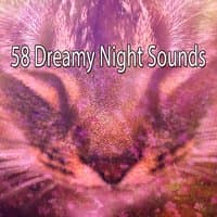 58 Dreamy Night Sounds