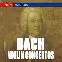 Violin Concerto No. 1 in A Minor, BWV 1041: I. Allegro moderato