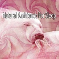 Natural Ambience For Sleep