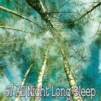 67 All Night Long Sleep