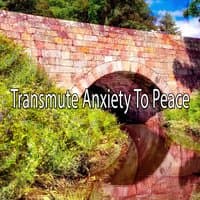 Transmute Anxiety To Peace