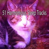 51 Harmonious Sleep Tracks