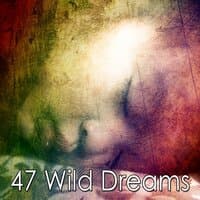 47 Wild Dreams