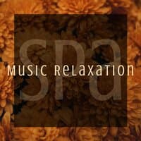 Spa Music Relaxation