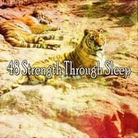 48 Strength Through Sleep