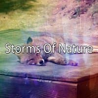 Storms Of Nature