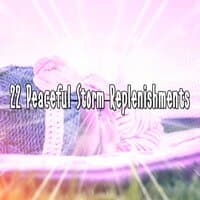 22 Peaceful Storm Replenishments