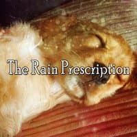 The Rain Prescription