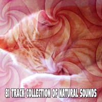 81 Track Collection Of Natural Sounds