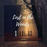 Lost in the woods