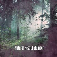 Natural Restful Slumber