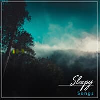 #15 Sleepy Songs for Yoga, Zen and Meditation