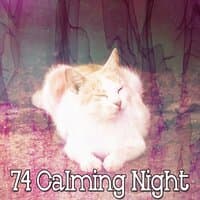 74 Calming Night