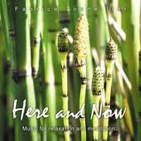 Here and Now: Music for Relaxation and Meditation