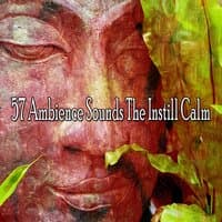 57 Ambience Sounds the Instill Calm