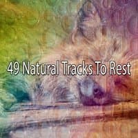 49 Natural Tracks To Rest