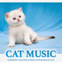 Cat Music: Soothing Music For Cats, Pet Music For Relaxation and The Best Music For Your Pet