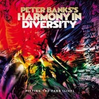 Peter Banks's Harmony in Diversity: Hitting the Fans