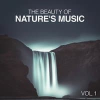 The Beauty of Nature's Music