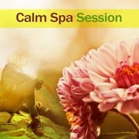 Calm Spa Session – Calming New Age, Relaxing Music, Soothing Sounds, Wellness, Bliss Spa, Massage