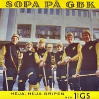 Heja, Heja Gripen