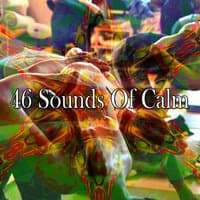 46 Sounds of Calm