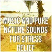 Music and Pure Nature Sounds for Stress Relief - Soft Nature Music to Relax, Fall Asleep and Sleep Through the Night, Relaxing Sounds