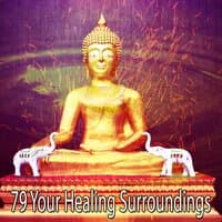 79 Your Healing Surroundings