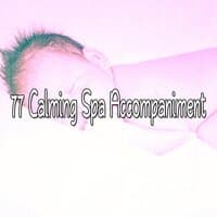 77 Calming Spa Accompaniment