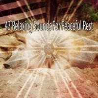 43 Relaxing Sounds For Peaceful Rest