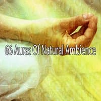 66 Auras Of Natural Ambience