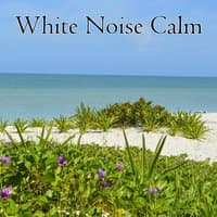 White Noise Calm