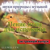 Пение птиц для исцеления: звуки природы с музыкой: экстренный выпуск