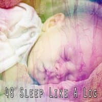 48 Sleep Like a Log