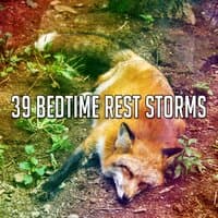 39 Bedtime Rest Storms