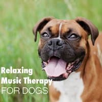 Relaxing Music Therapy for Dog – Soft Instrumental to Calm Down Pet While You Are Out, Mellow Sounds for Puppies