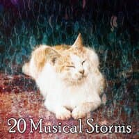 20 Musical Storms