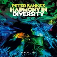 Peter Banks's Harmony in Diversity: What is This?